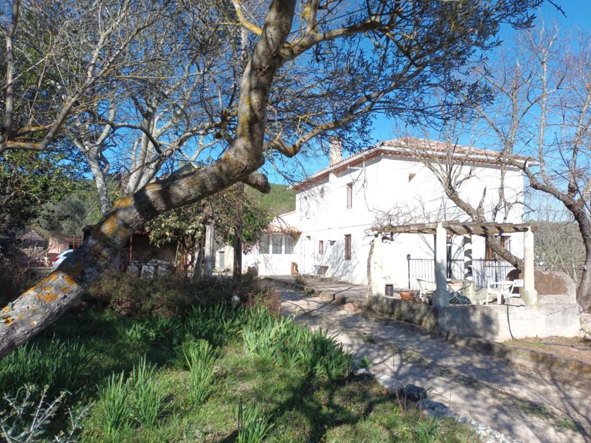 Gite Zen Carnoules  Exterior foto