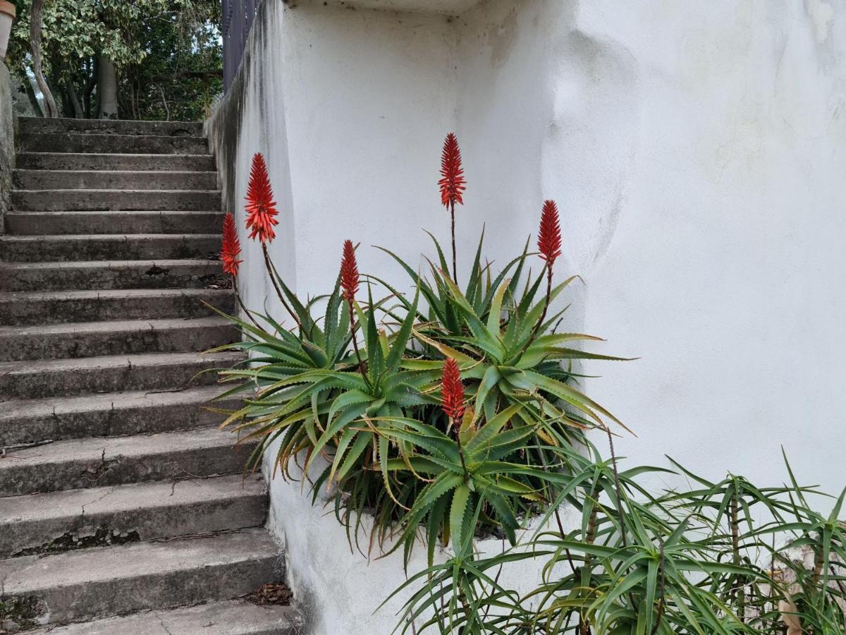 Gite Zen Carnoules  Exterior foto